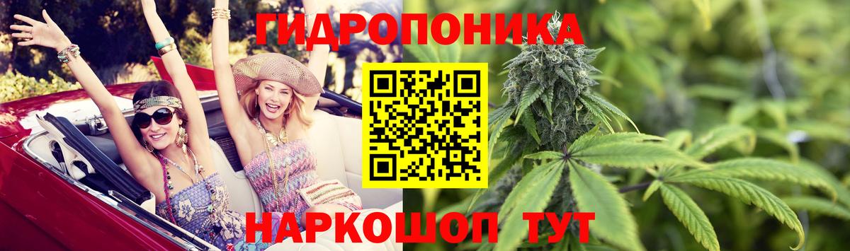 Бошки Шишки White Widow  Вход с VPN  Санкт-Петербург  МАРИХУАНА план 
